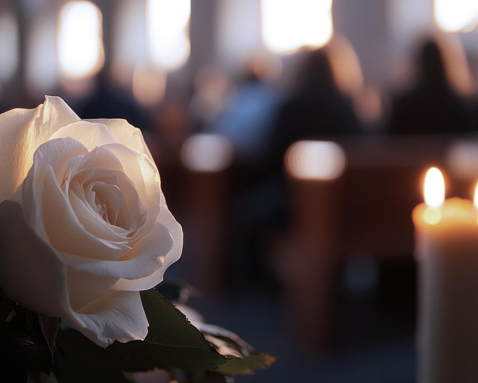 Fleurs blanches et bougie allumée dans une église – Rosa Funéraire